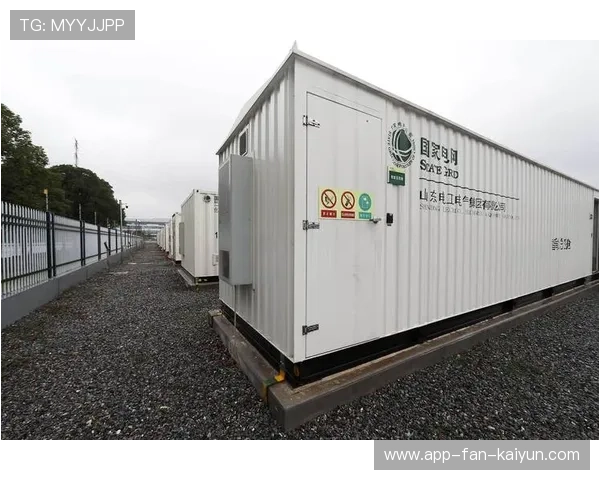 储能型训练设备被多队采用提高恢复效率，储能技术包括哪两类